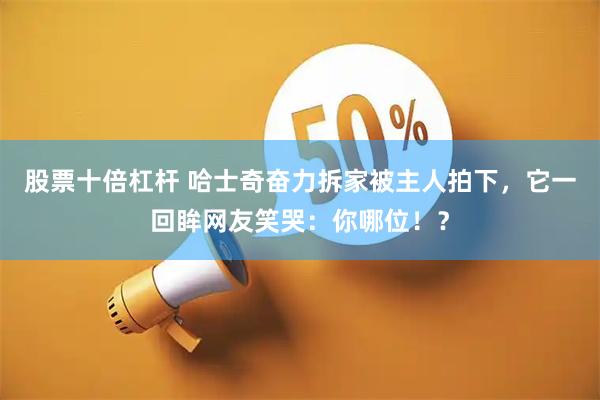 股票十倍杠杆 哈士奇奋力拆家被主人拍下，它一回眸网友笑哭：你哪位！？